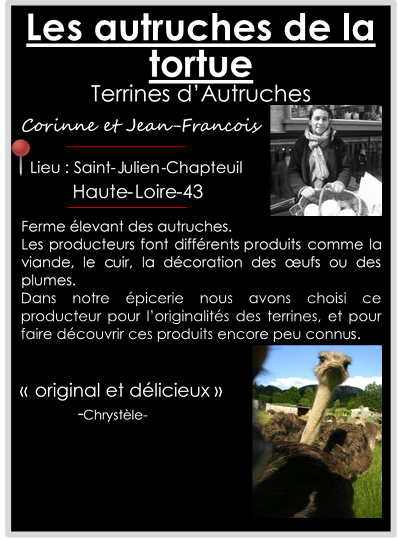 les autruches de la tortue